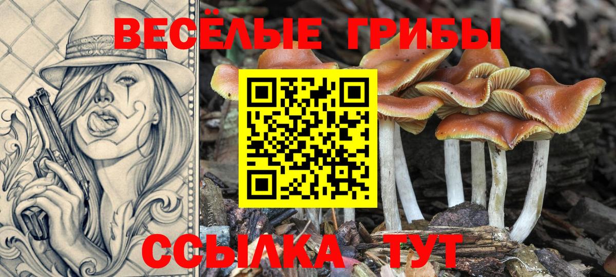 Псилоцибиновые грибы MAGIC MUSHROOMS  Вход с VPN  Химки 